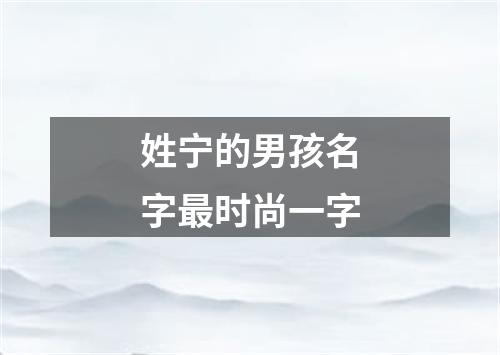 姓宁的男孩名字最时尚一字