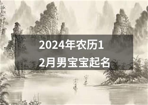 2024年农历12月男宝宝起名