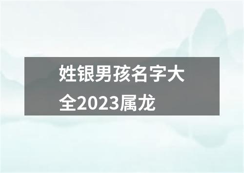 姓银男孩名字大全2023属龙