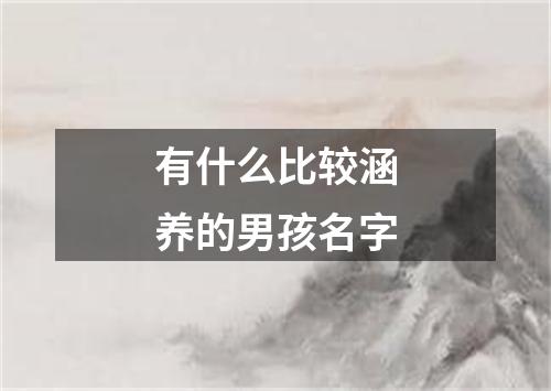 有什么比较涵养的男孩名字