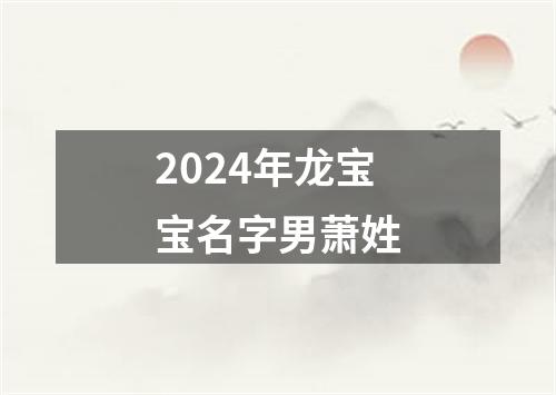 2024年龙宝宝名字男萧姓