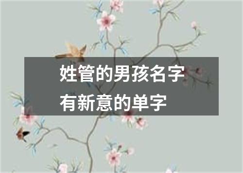 姓管的男孩名字有新意的单字