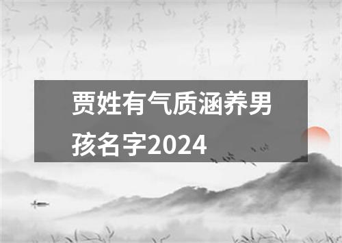 贾姓有气质涵养男孩名字2024