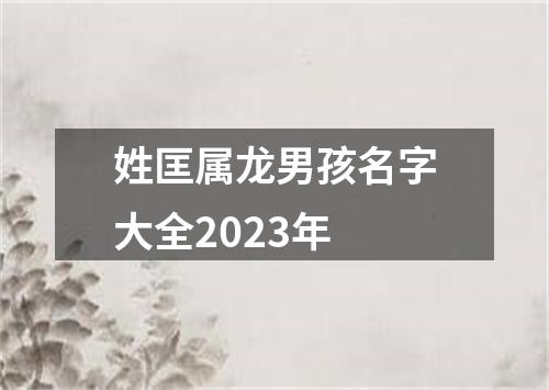 姓匡属龙男孩名字大全2023年