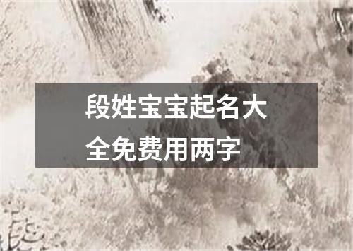 段姓宝宝起名大全免费用两字