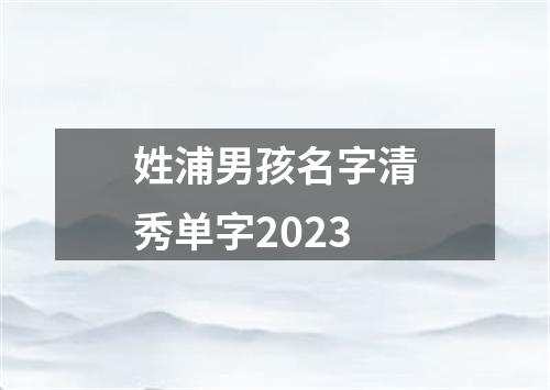 姓浦男孩名字清秀单字2023