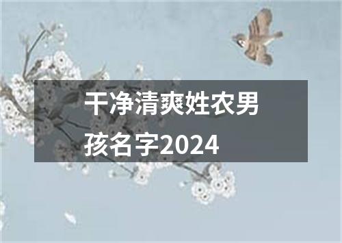 干净清爽姓农男孩名字2024