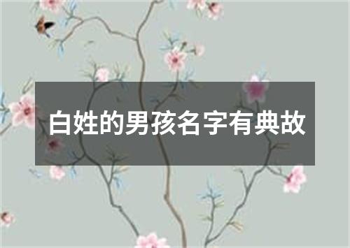 白姓的男孩名字有典故