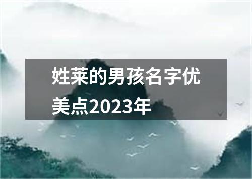 姓莱的男孩名字优美点2023年