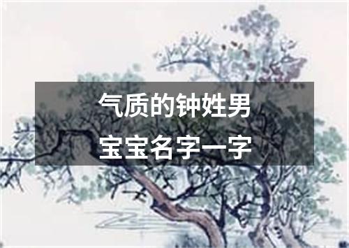 气质的钟姓男宝宝名字一字