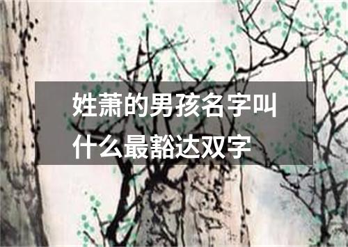 姓萧的男孩名字叫什么最豁达双字