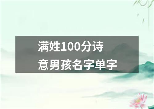 满姓100分诗意男孩名字单字