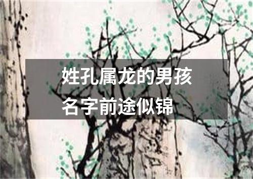 姓孔属龙的男孩名字前途似锦