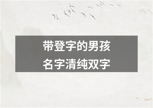 带登字的男孩名字清纯双字