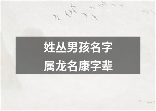 姓丛男孩名字属龙名康字辈