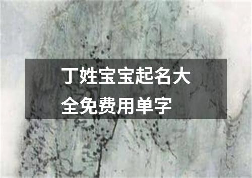 丁姓宝宝起名大全免费用单字