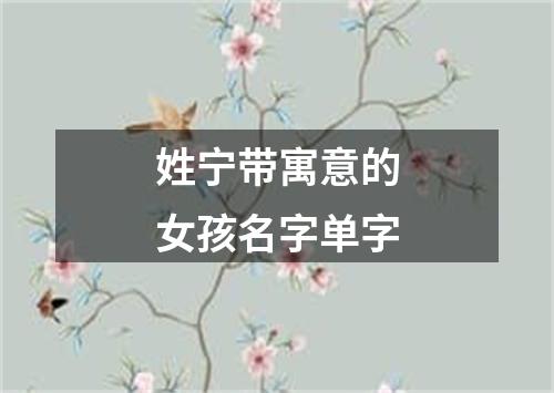 姓宁带寓意的女孩名字单字