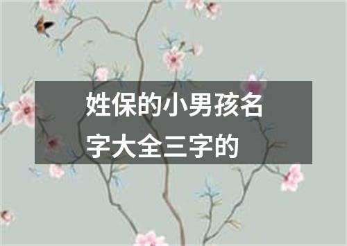 姓保的小男孩名字大全三字的