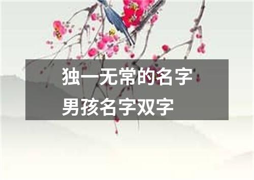 独一无常的名字男孩名字双字