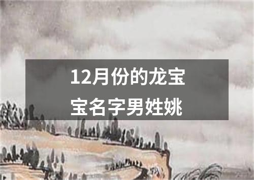 12月份的龙宝宝名字男姓姚