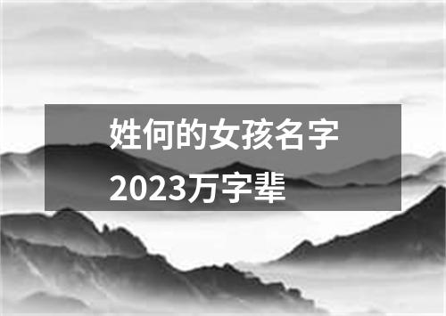 姓何的女孩名字2023万字辈