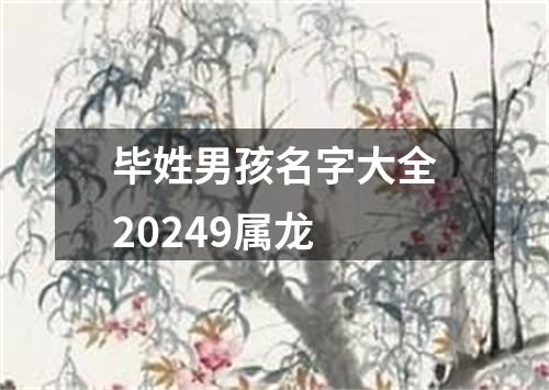 毕姓男孩名字大全20249属龙