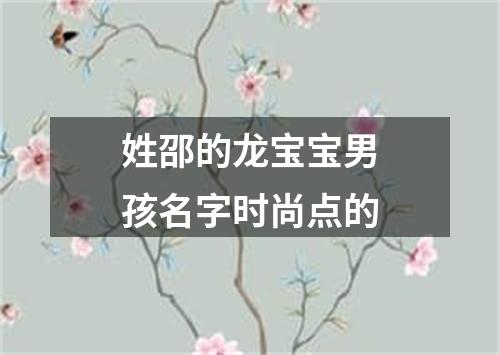 姓邵的龙宝宝男孩名字时尚点的