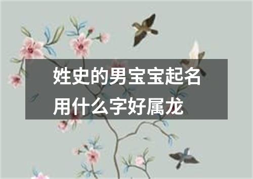 姓史的男宝宝起名用什么字好属龙