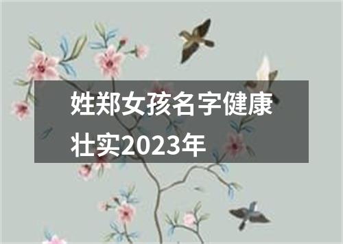 姓郑女孩名字健康壮实2023年