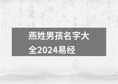 燕姓男孩名字大全2024易经