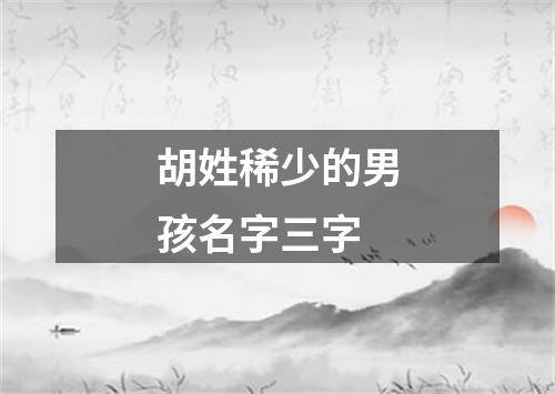 胡姓稀少的男孩名字三字