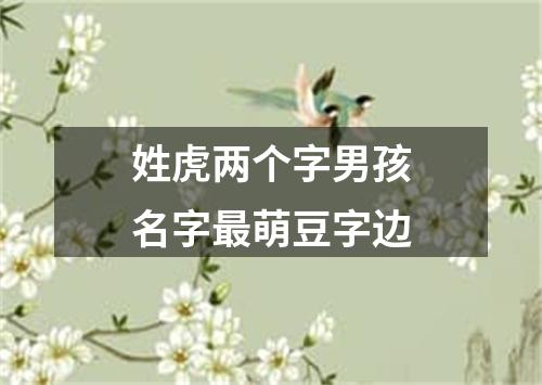 姓虎两个字男孩名字最萌豆字边