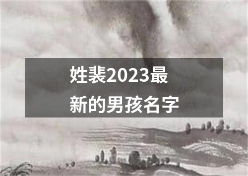 姓裴2023最新的男孩名字