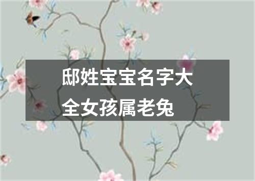 邸姓宝宝名字大全女孩属老兔