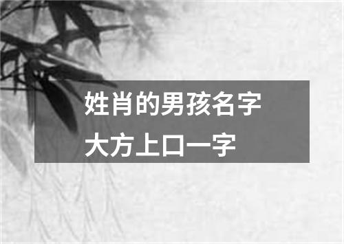 姓肖的男孩名字大方上口一字