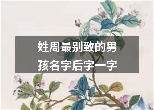 姓周最别致的男孩名字后字一字