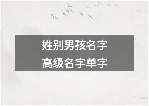 姓别男孩名字高级名字单字