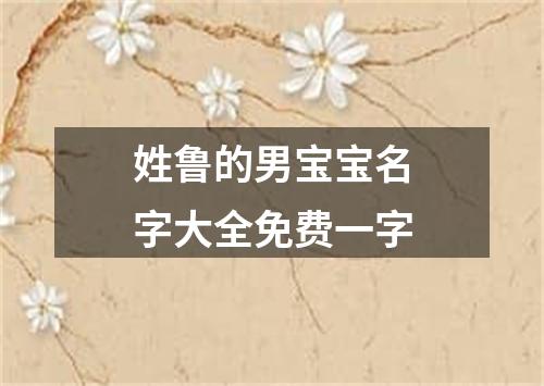 姓鲁的男宝宝名字大全免费一字