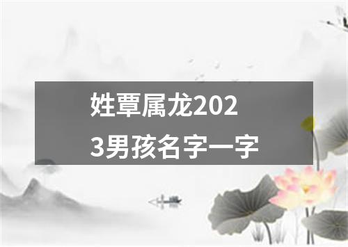 姓覃属龙2023男孩名字一字