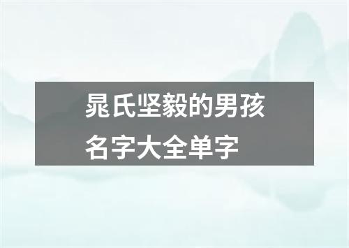 晁氏坚毅的男孩名字大全单字