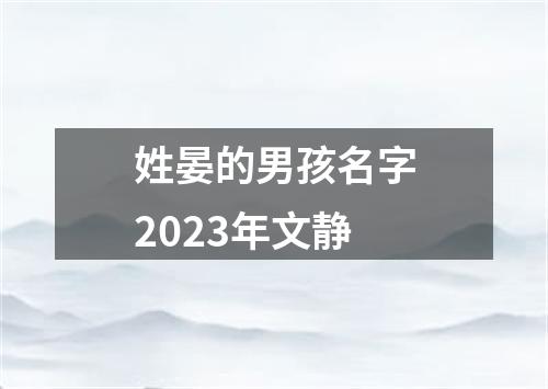 姓晏的男孩名字2023年文静