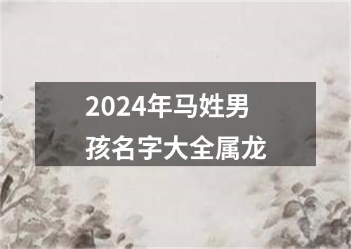 2024年马姓男孩名字大全属龙