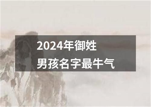 2024年御姓男孩名字最牛气