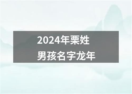 2024年栗姓男孩名字龙年