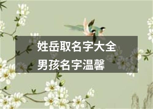 姓岳取名字大全男孩名字温馨