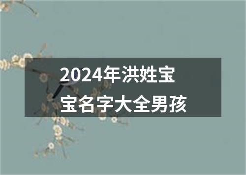 2024年洪姓宝宝名字大全男孩