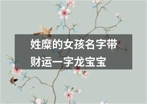 姓糜的女孩名字带财运一字龙宝宝