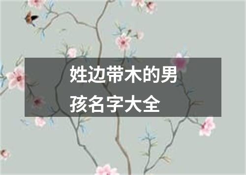 姓边带木的男孩名字大全