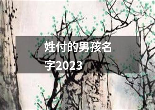 姓付的男孩名字2023