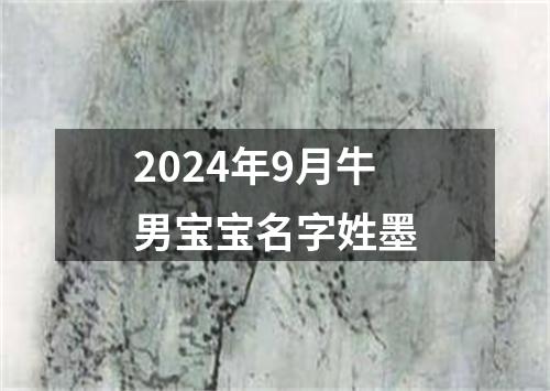 2024年9月牛男宝宝名字姓墨